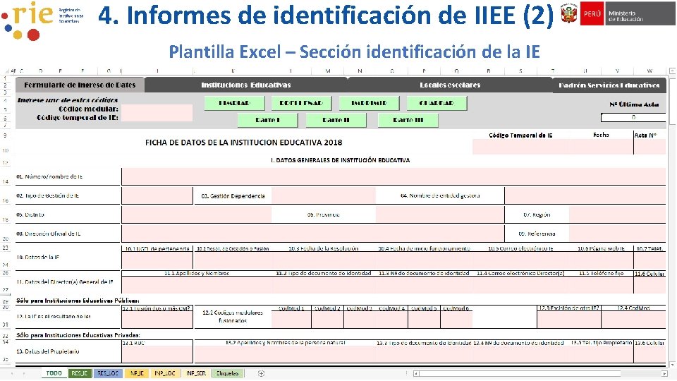 4. Informes de identificación de IIEE (2) Plantilla Excel – Sección identificación de la