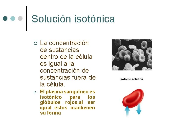 Solución isotónica ¢ La concentración de sustancias dentro de la célula es igual a