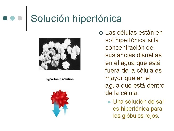 Solución hipertónica ¢ Las células están en sol hipertónica si la concentración de sustancias
