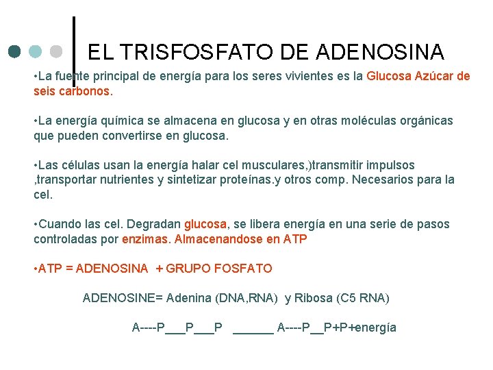 EL TRISFOSFATO DE ADENOSINA • La fuente principal de energía para los seres vivientes