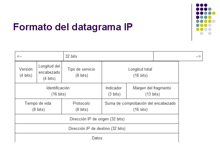 Formato del datagrama IP 