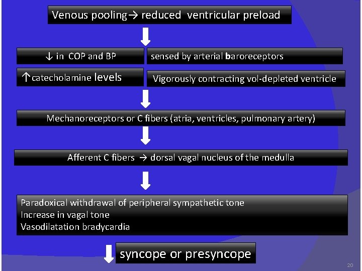 Venous pooling→ reduced ventricular preload ↓ in COP and BP sensed by arterial baroreceptors