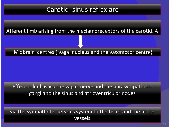 Carotid sinus reflex arc Afferent limb arising from the mechanoreceptors of the carotid. A