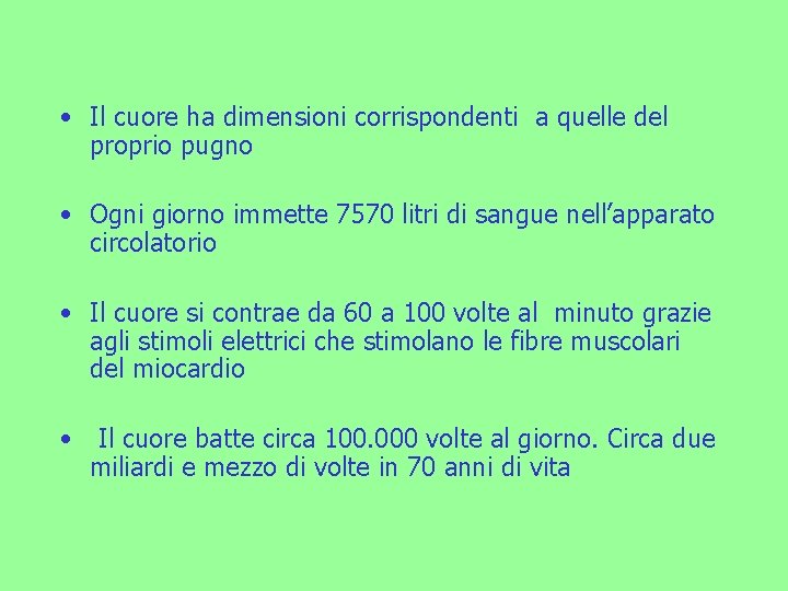  • Il cuore ha dimensioni corrispondenti a quelle del proprio pugno • Ogni