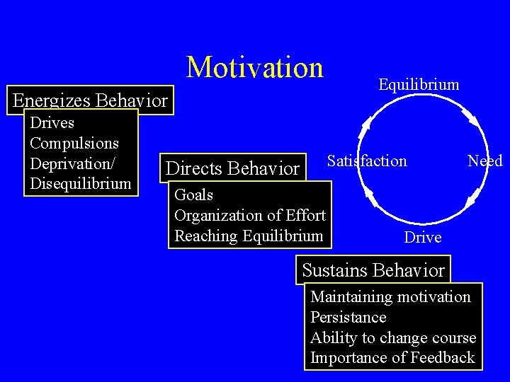Motivation Energizes Behavior Drives Compulsions Deprivation/ Disequilibrium Equilibrium Satisfaction Directs Behavior Goals Organization of