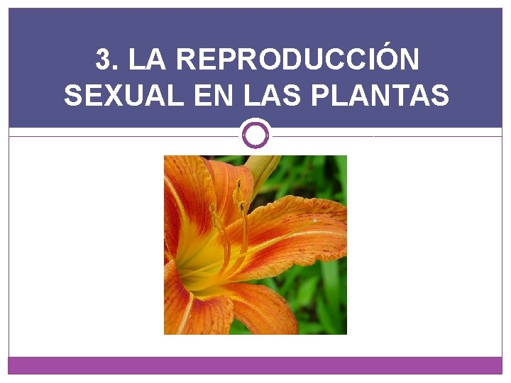 3. LA REPRODUCCIÓN SEXUAL EN LAS PLANTAS 