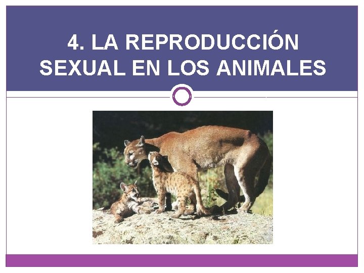 4. LA REPRODUCCIÓN SEXUAL EN LOS ANIMALES 