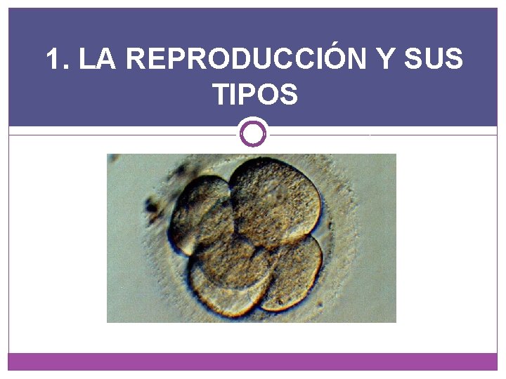 1. LA REPRODUCCIÓN Y SUS TIPOS 