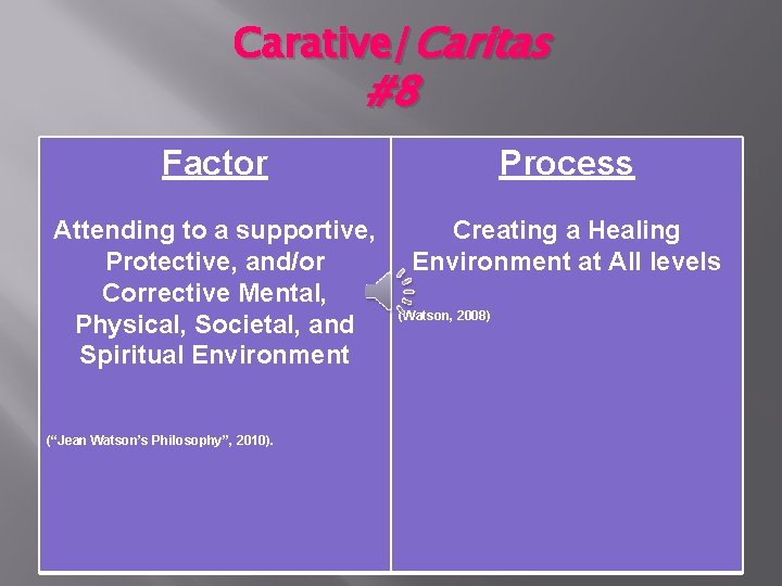 Carative/Caritas #8 Factor Process Attending to a supportive, Protective, and/or Corrective Mental, Physical, Societal,