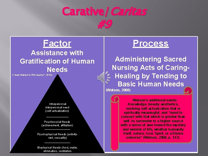 Carative/Caritas #9 Factor Assistance with Gratification of Human Needs (“Jean Watson’s Philosophy”, 2010). Process