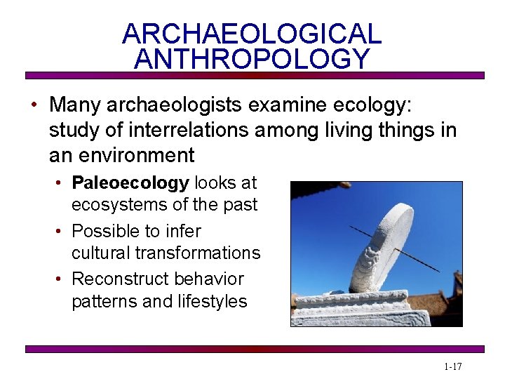 ARCHAEOLOGICAL ANTHROPOLOGY • Many archaeologists examine ecology: study of interrelations among living things in