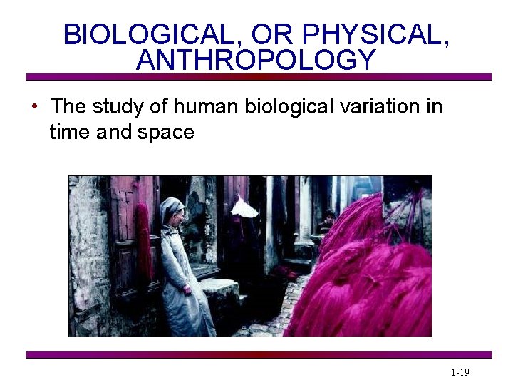 BIOLOGICAL, OR PHYSICAL, ANTHROPOLOGY • The study of human biological variation in time and