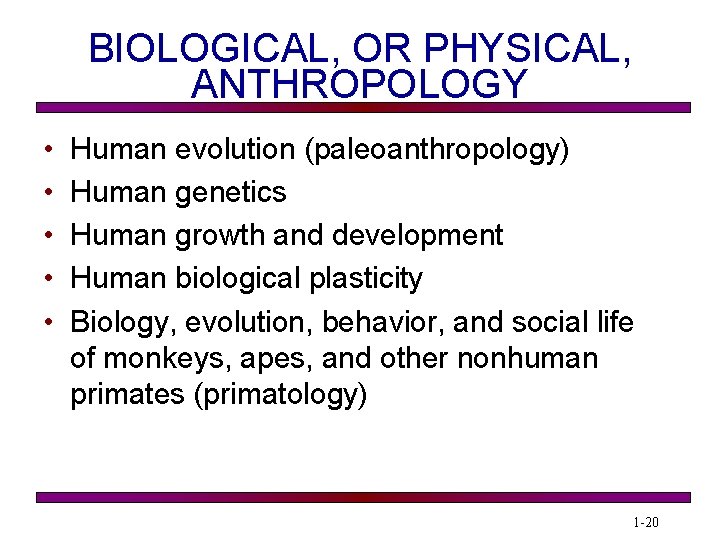 BIOLOGICAL, OR PHYSICAL, ANTHROPOLOGY • • • Human evolution (paleoanthropology) Human genetics Human growth