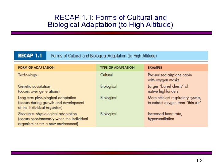 RECAP 1. 1: Forms of Cultural and Biological Adaptation (to High Altitude) 1 -8
