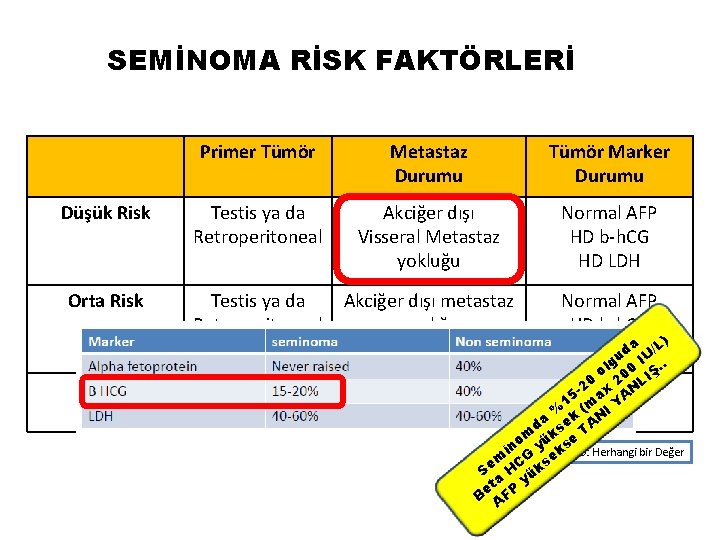 SEMİNOMA RİSK FAKTÖRLERİ Primer Tümör Metastaz Durumu Tümör Marker Durumu Düşük Risk Testis ya