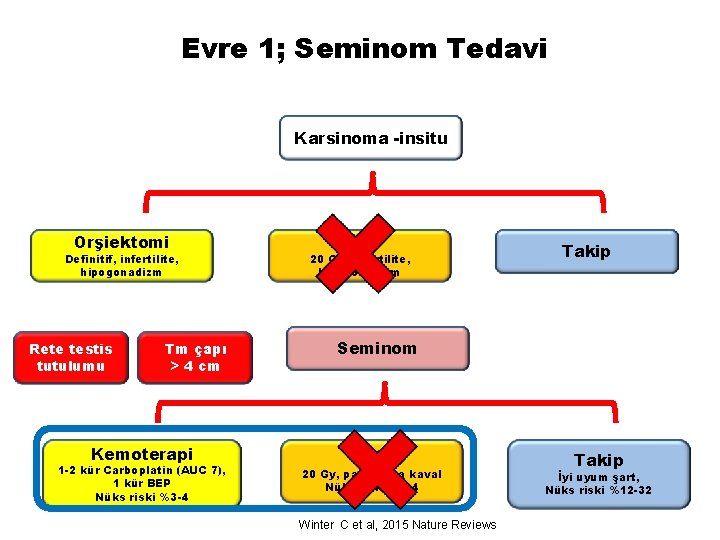 Evre 1; Seminom Tedavi Karsinoma -insitu Orşiektomi Definitif, infertilite, hipogonadizm Rete testis tutulumu Tm