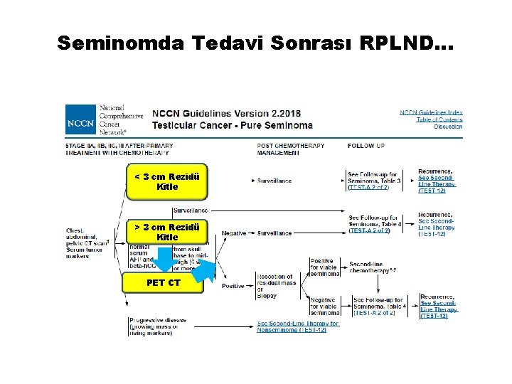 Seminomda Tedavi Sonrası RPLND… < 3 cm Rezidü Kitle > 3 cm Rezidü Kitle