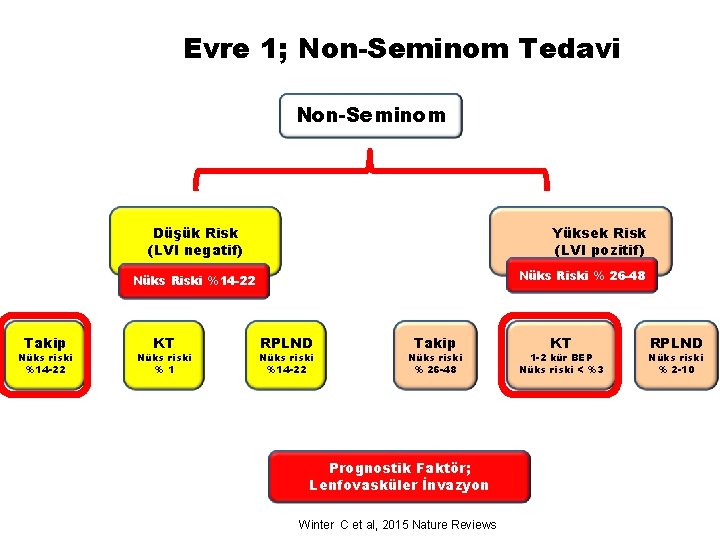 Evre 1; Non-Seminom Tedavi Non-Seminom Düşük Risk (LVI negatif) Yüksek Risk (LVI pozitif) Nüks