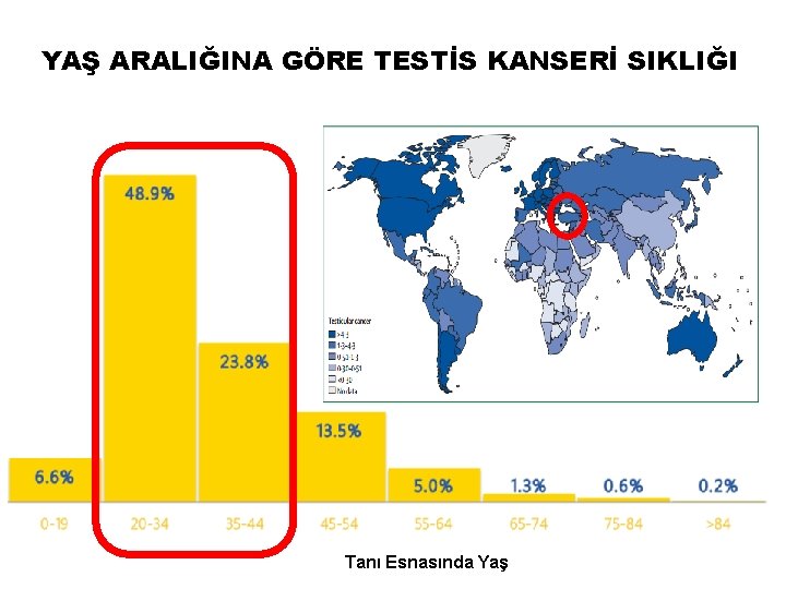 YAŞ ARALIĞINA GÖRE TESTİS KANSERİ SIKLIĞI Tanı Esnasında Yaş 