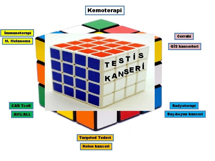 Kemoterapi İmmunoterapi Cerrahi M. Melanoma GİS kanserleri S İ T S E T İ