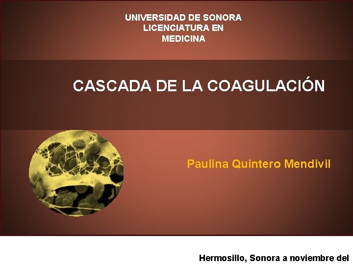 UNIVERSIDAD DE SONORA LICENCIATURA EN MEDICINA CASCADA DE LA COAGULACIÓN Paulina Quintero Mendivil Hermosillo,