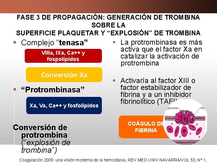 FASE 3 DE PROPAGACIÓN: GENERACIÓN DE TROMBINA SOBRE LA SUPERFICIE PLAQUETAR Y “EXPLOSIÓN” DE