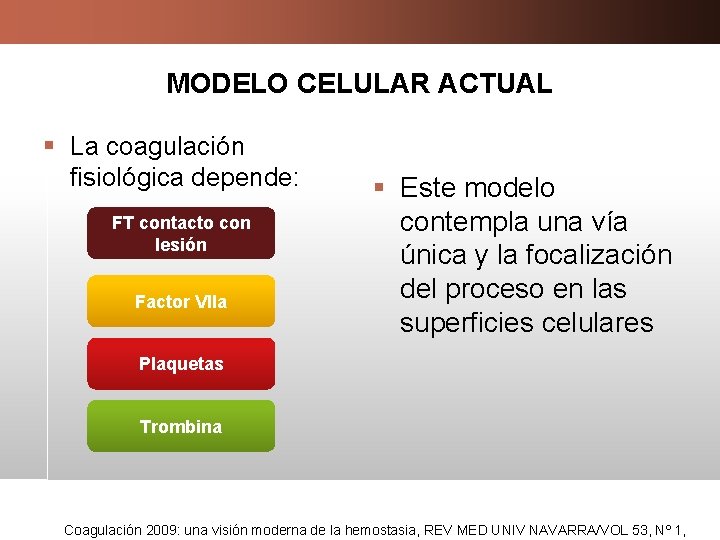 MODELO CELULAR ACTUAL § La coagulación fisiológica depende: FT contacto con lesión Factor VIIa