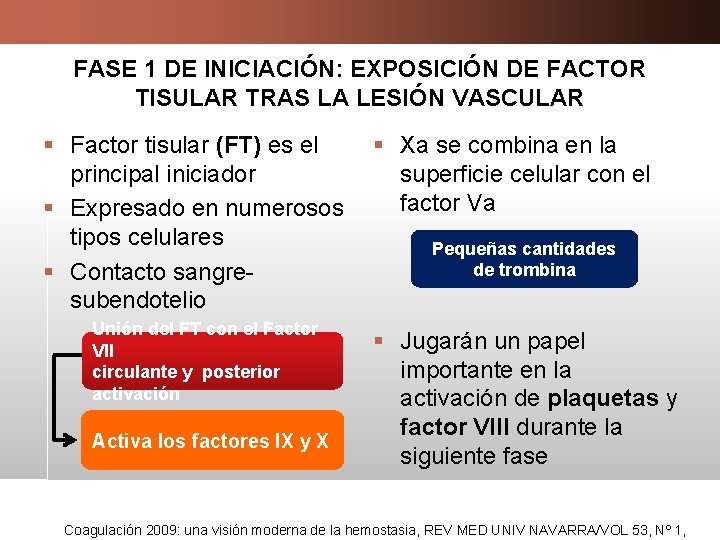 FASE 1 DE INICIACIÓN: EXPOSICIÓN DE FACTOR TISULAR TRAS LA LESIÓN VASCULAR § Factor