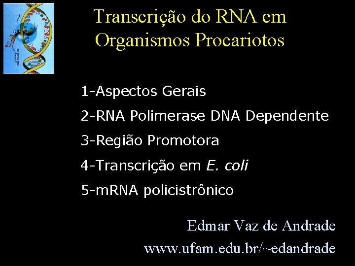 Transcrição do RNA em Organismos Procariotos 1 -Aspectos Gerais 2 -RNA Polimerase DNA Dependente