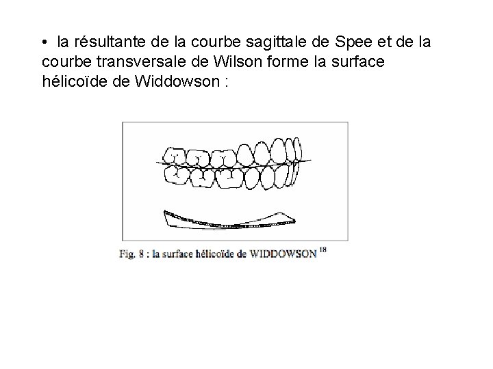  • la résultante de la courbe sagittale de Spee et de la courbe