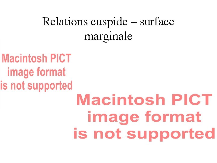 Relations cuspide – surface marginale 