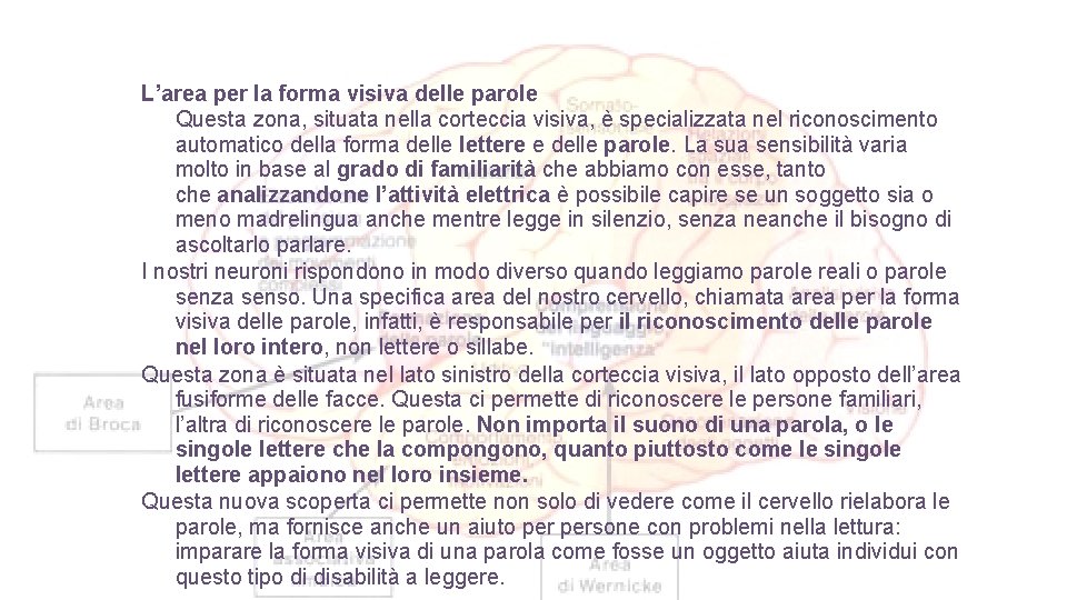 L’area per la forma visiva delle parole Questa zona, situata nella corteccia visiva, è