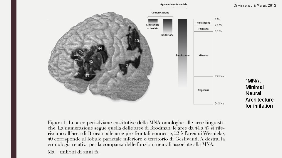 Di Vincenzo & Manzi, 2012 *MNA. Minimal Neural Architecture for imitation 