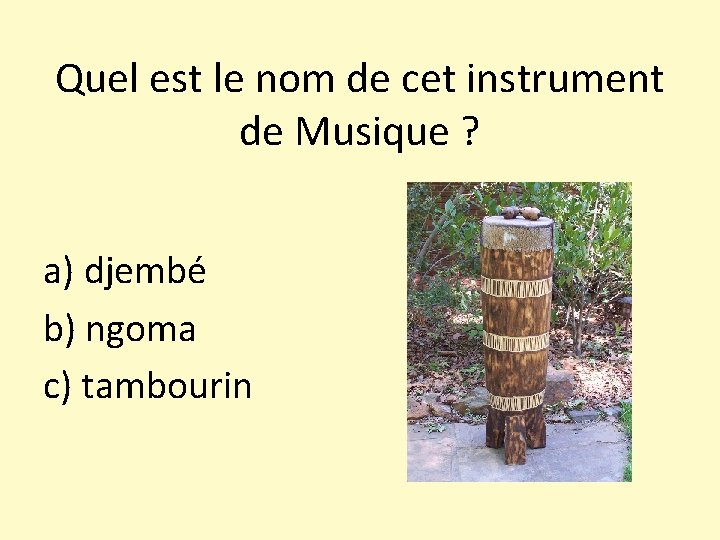 Quel est le nom de cet instrument de Musique ? a) djembé b) ngoma