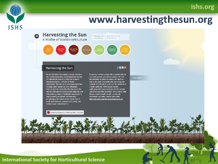www. harvestingthesun. org 