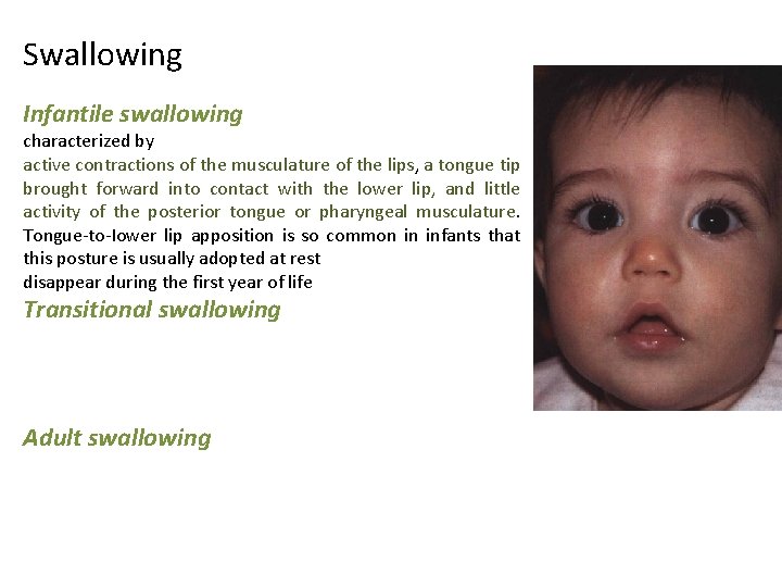 Swallowing Infantile swallowing characterized by active contractions of the musculature of the lips, a