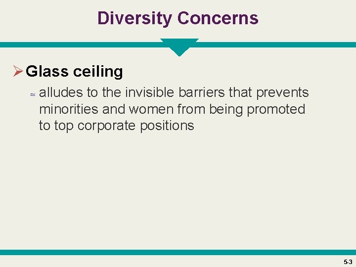 Diversity Concerns Ø Glass ceiling ≈ alludes to the invisible barriers that prevents minorities