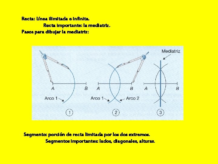 Recta: Línea ilimitada e infinita. Recta importante: la mediatriz. Pasos para dibujar la mediatriz: