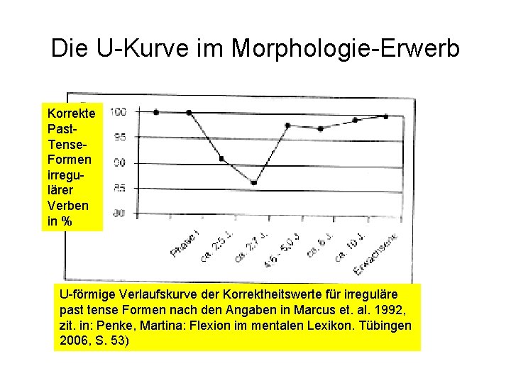 Die U-Kurve im Morphologie-Erwerb Korrekte Past. Tense. Formen irregulärer Verben in % U-förmige Verlaufskurve