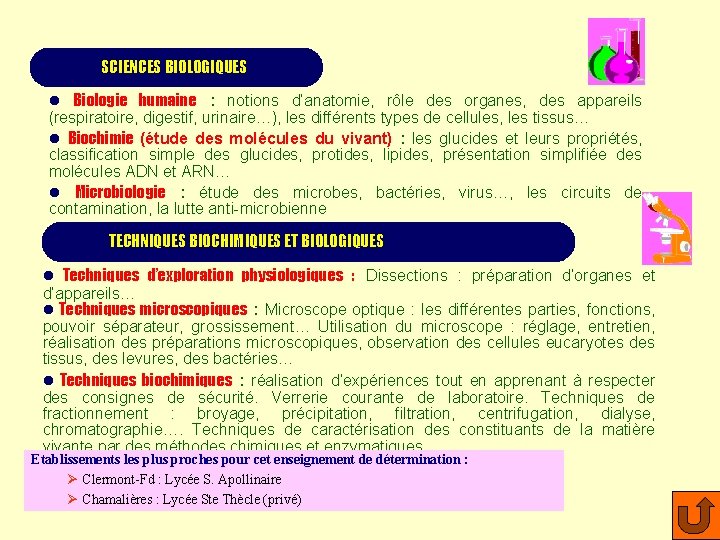 SCIENCES BIOLOGIQUES l Biologie humaine : notions d’anatomie, rôle des organes, des appareils (respiratoire,