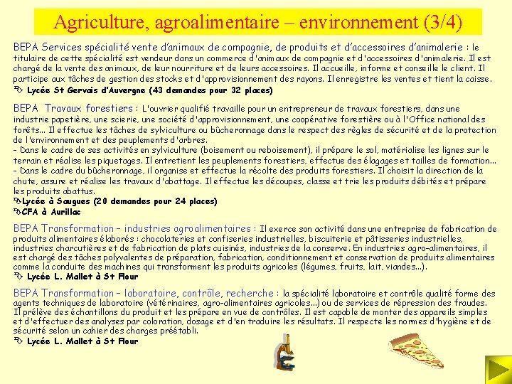 Agriculture, agroalimentaire – environnement (3/4) BEPA Services spécialité vente d’animaux de compagnie, de produits
