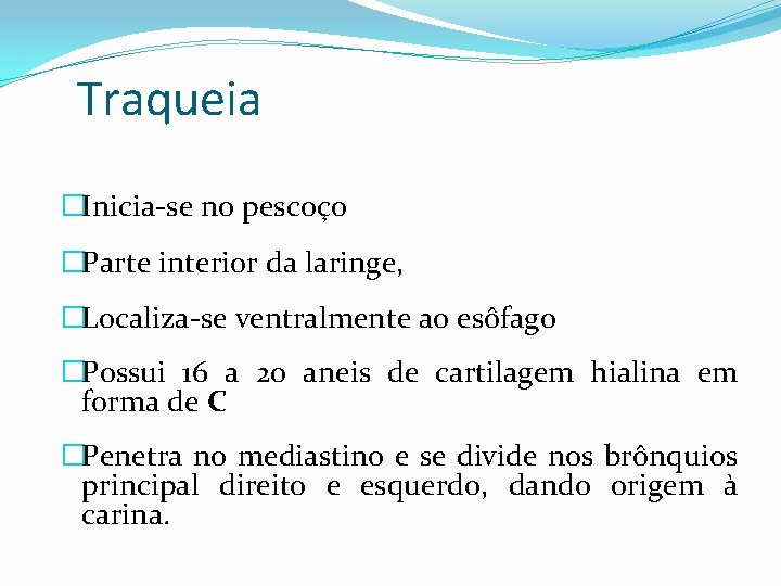 Traqueia �Inicia-se no pescoço �Parte interior da laringe, �Localiza-se ventralmente ao esôfago �Possui 16