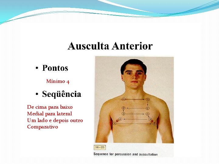 Mínimo 4 De cima para baixo Medial para lateral Um lado e depois outro