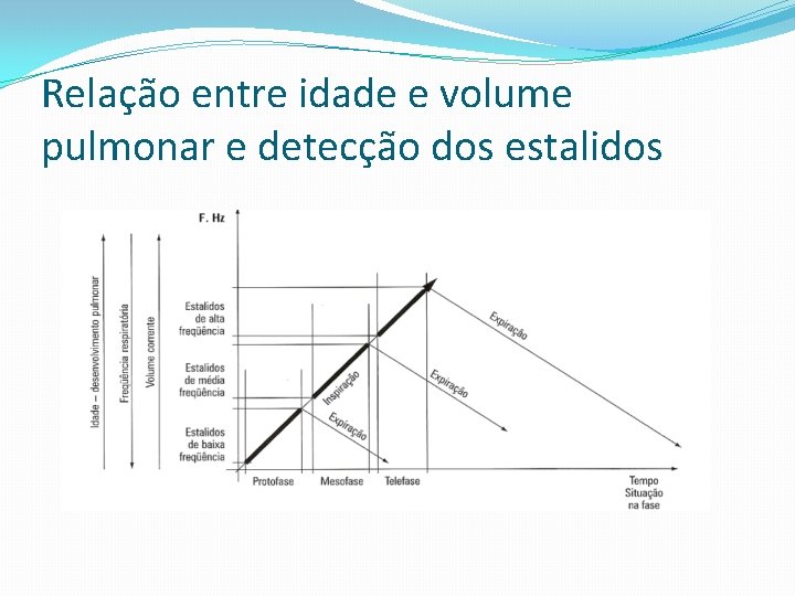 Relação entre idade e volume pulmonar e detecção dos estalidos 