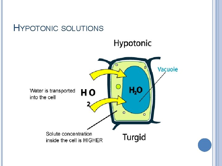 HYPOTONIC SOLUTIONS 