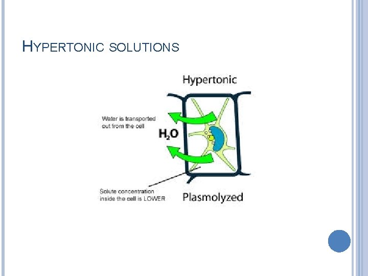 HYPERTONIC SOLUTIONS 