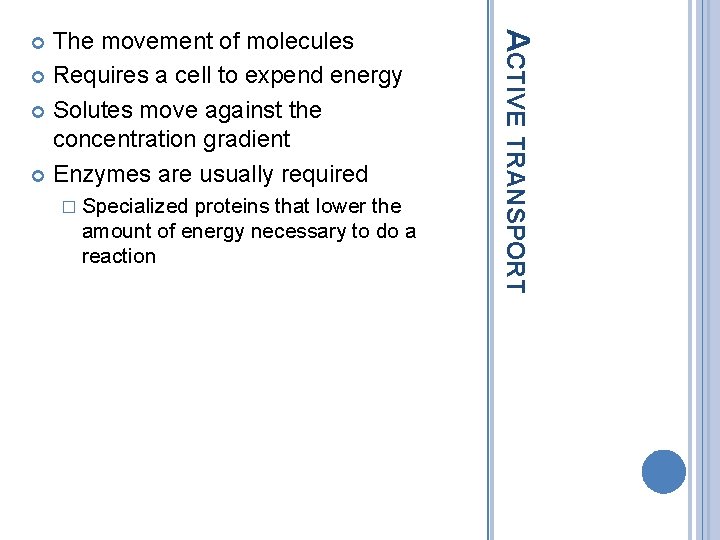 � Specialized proteins that lower the amount of energy necessary to do a reaction
