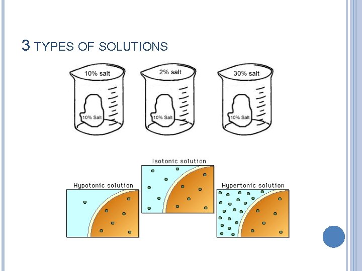 3 TYPES OF SOLUTIONS 