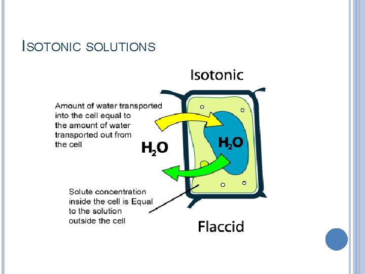 ISOTONIC SOLUTIONS 
