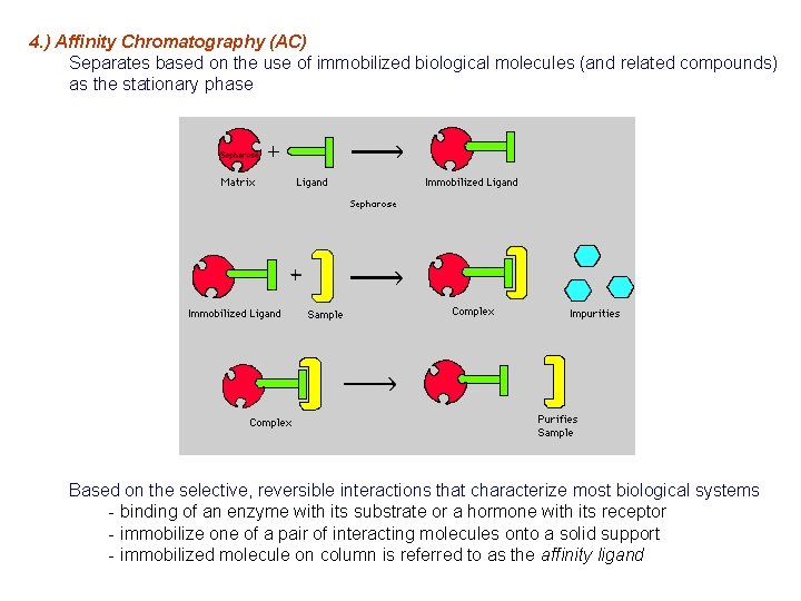 4. ) Affinity Chromatography (AC) Separates based on the use of immobilized biological molecules